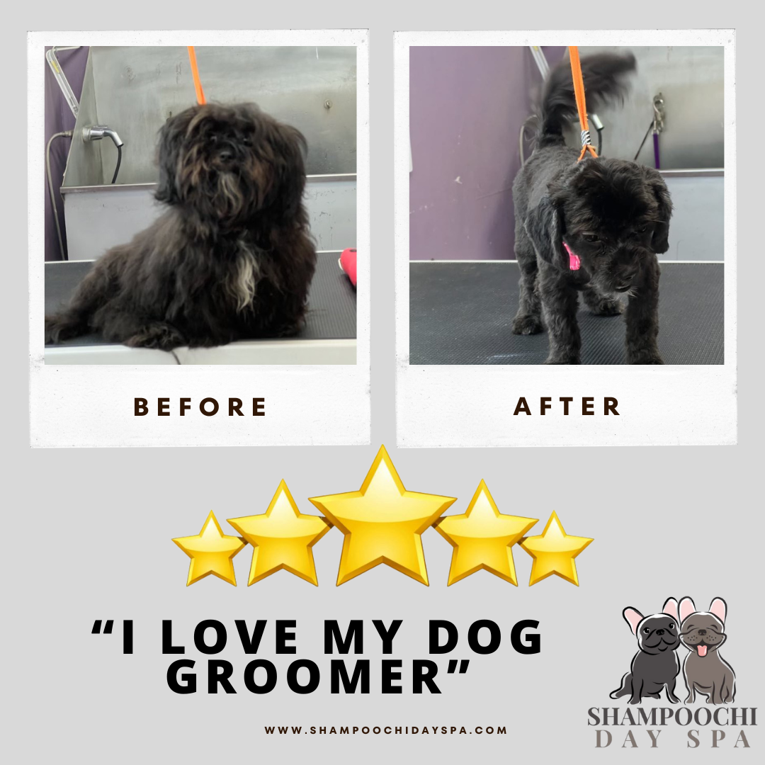Before and after Grooming - 5 Star Review